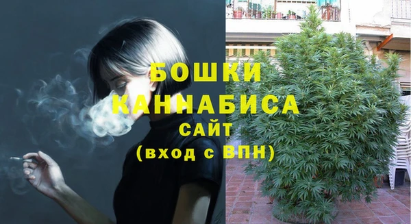 стаф Абаза