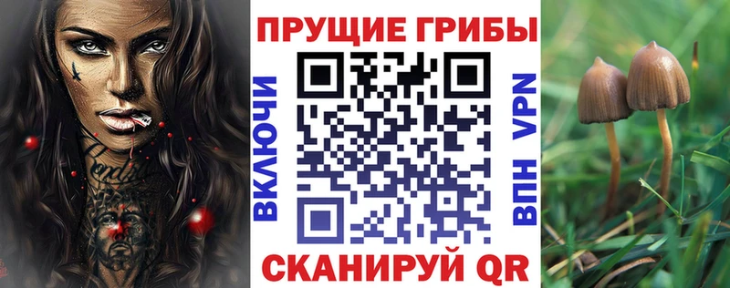 наркошоп omg онион Галлюциногенные грибы прущие грибы Янаул